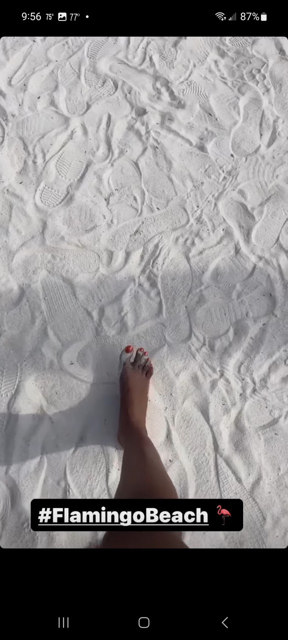 Claudia Jordan Feet